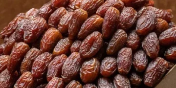 Dates, a nutritious fruit