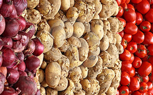 Announcement of 70% subsidy on agricultural equipment for onion tomato production in Punjab