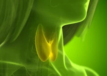 Common Thyroid Drug Linked to Bone Loss