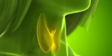 Common Thyroid Drug Linked to Bone Loss