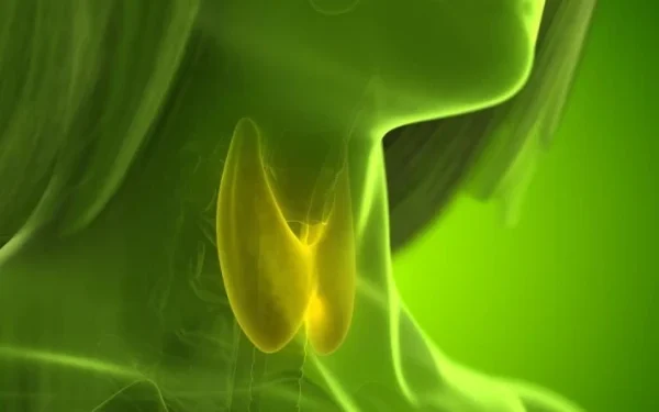 Common Thyroid Drug Linked to Bone Loss