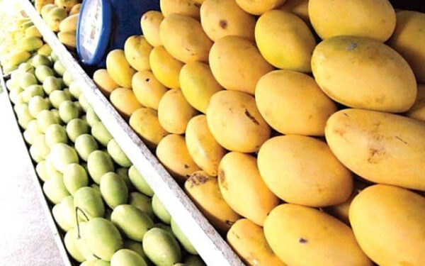 Mango: A Delicious Superfruit Packed with Health Benefits