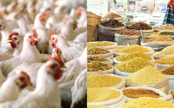 ECC takes notice of increase in prices of chicken and pulses