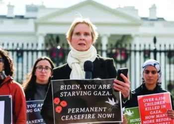 Our tax money is not for the killing of children in Gaza, American actress Cynthia Nixon