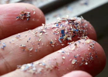 Method to combat microplastics discovered