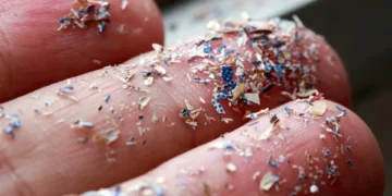 Method to combat microplastics discovered