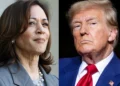 Kamala Harris phoned Trump, congratulated him on his election victory