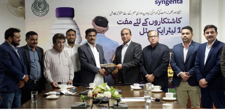 Syngenta Empowers 15,000 Wheat Farmers in Sindh with  free wheat product to Boost Yields