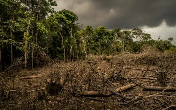 Why are trees failing to adapt to climate change?