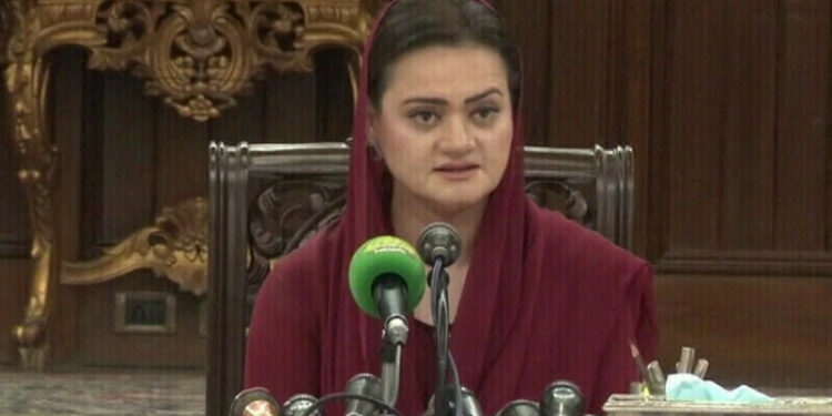 Overseas Pakistanis reject call for civil disobedience, Marriyum Aurangzeb