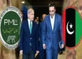 PPP will not derail the government, party sources