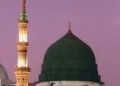Prophet's Mosque, visitor arrival data released, how many Pakistanis visited the Holy Shrine?