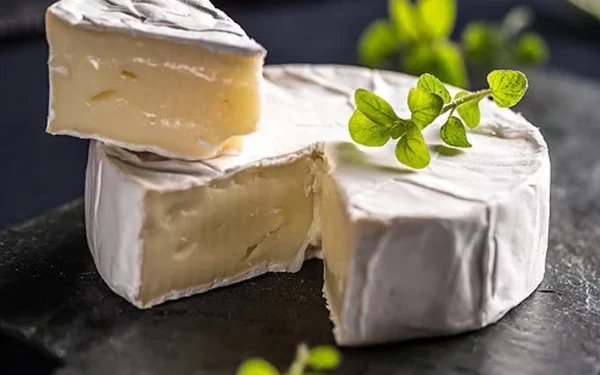 This type of cheese may be good for you!