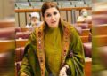 There is no internet and they are bringing a bill for the Digital Nation, criticizing the PPP government
