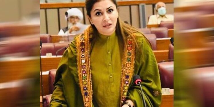 There is no internet and they are bringing a bill for the Digital Nation, criticizing the PPP government