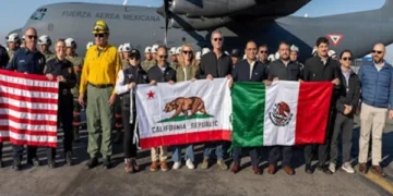 Los Angeles Fire, First Foreign Aid Including Firefighters Arrives in California