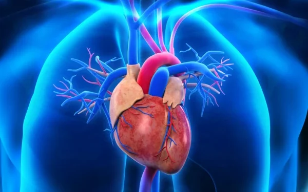 Heart disease and cancer cause alarming revelation