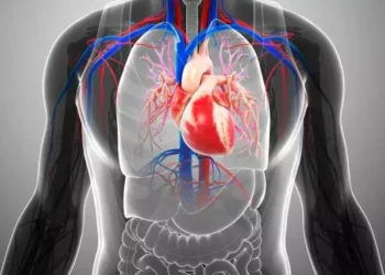 In which people can the failing heart muscle start to repair itself?