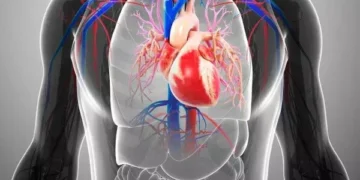 In which people can the failing heart muscle start to repair itself?