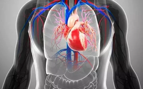 In which people can the failing heart muscle start to repair itself?