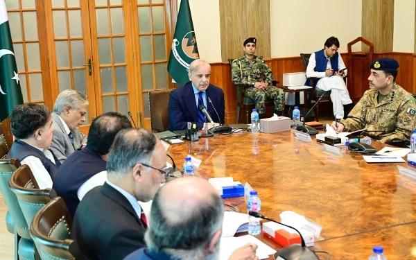 Prime Minister chairs National Action Plan Apex Committee meeting