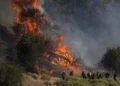 New forest fire in the north of Los Angeles, 25 thousand people evacuated