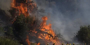 New forest fire in the north of Los Angeles, 25 thousand people evacuated