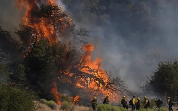 New forest fire in the north of Los Angeles, 25 thousand people evacuated