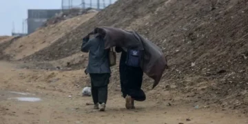 Israel's brutal actions in Gaza have reduced the population by 6 percent, report says