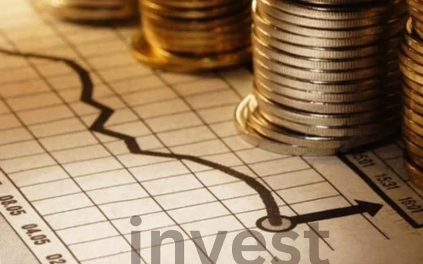 Domestic resources for investment in all sectors are limited, Shahbaz Rana