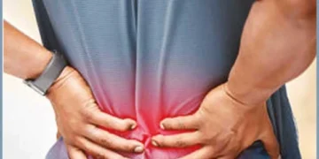 Causes and Treatment of Back Pain
