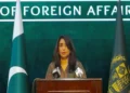 Pakistan expresses concern over India’s cross-border killings