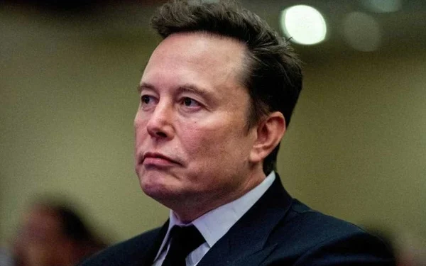 World's richest man Musk accused of interfering in German elections