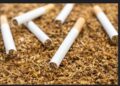 The Tobacco Industry’s Social Media Tactics: Targeting the Next Generation