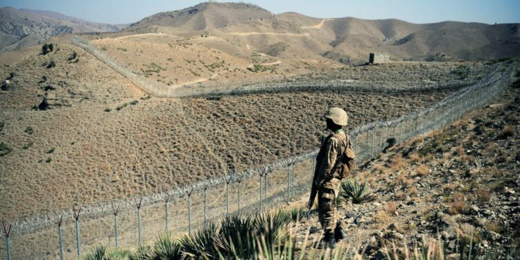 The son of the deputy governor of the Afghan province of Badghis was also involved in terrorism in Pakistan
