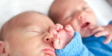 Why are mothers of twins at higher risk of heart disease?