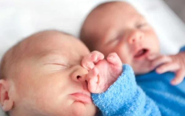 Why are mothers of twins at higher risk of heart disease?