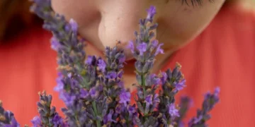 What is the connection between the sense of smell and mental health?