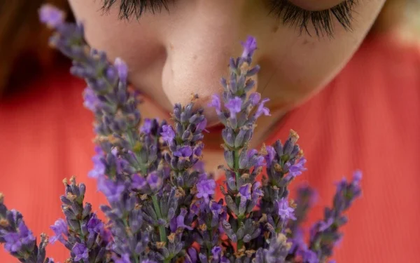 What is the connection between the sense of smell and mental health?