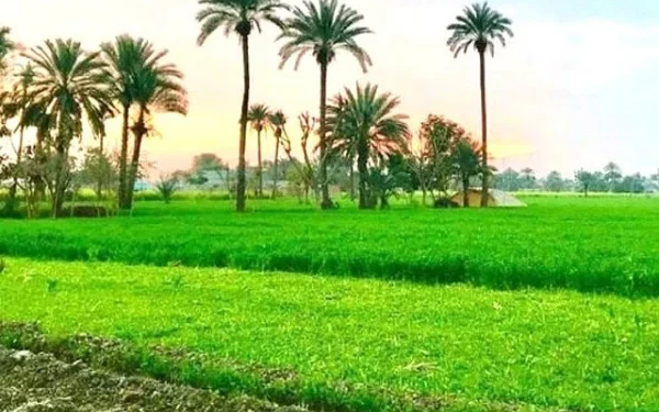 Green Pakistan Initiative, an important step towards creating a sustainable agricultural system