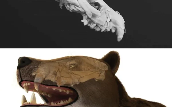 Complete skull of ancient predator discovered in Egypt