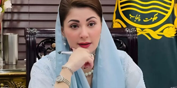 Punjab government decides to introduce Maryam Nawaz Community Health Services