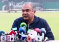 Next year there will be separate red and white ball teams, PCB Chairman