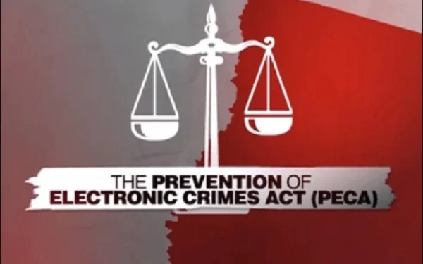 Another petition to declare PECA Amendment Act 2025 null and void, notice issued to federal government and others