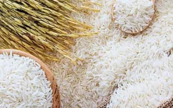 Pakistan, Bangladesh begin new trade era, first consignment to leave officially today