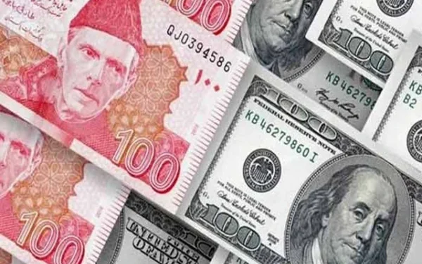 Economic Advisory Council concerned about keeping the exchange rate under pressure