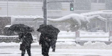 Heavy snowfall forecast in Japan, northern and western coasts likely to be affected