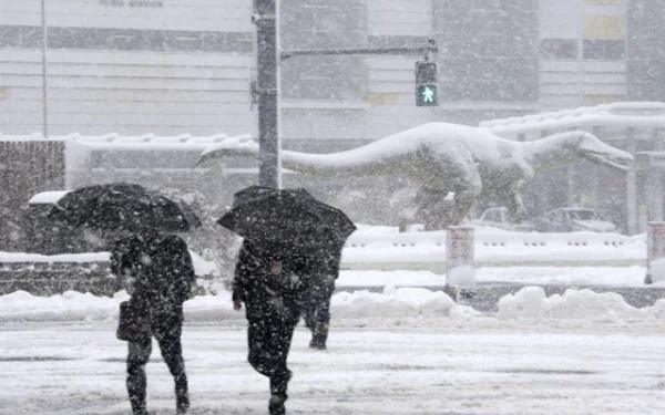 Heavy snowfall forecast in Japan, northern and western coasts likely to be affected