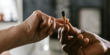 How long does it take for a person to die from marijuana use?