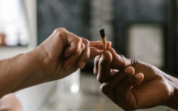 How long does it take for a person to die from marijuana use?